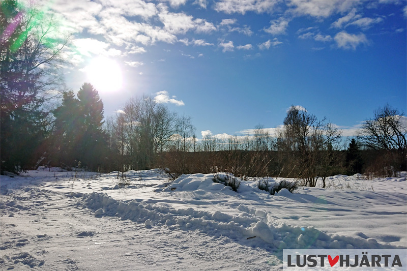 Vintersol - blå himmel - snö